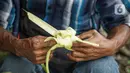 <p>Seorang pedagang tengah membuat kulit ketupat saat menunggu pembeli di Jakarta, Sabtu (30/4/2022). H-2 Lebaran 2022 penjualan kulit ketupat mengalami peningkatan dengan harga jual Rp 6 ribu untuk 10 lembar atau bahan dan Rp 10 ribu untuk harga perikat. (Liputan6.com/Faizal Fanani)</p>