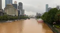 Tidak seperti biasanya, air sungai Yarra yang membelah kota Melbourne berwarna cokelat setelah hujan turun sejak Rabu malam (22/01). (ABC News: Nicole Asher)