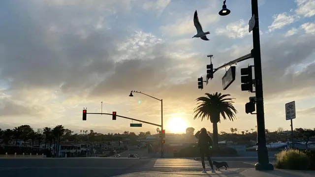Suasana pagi hari di kawasan Solana Beach, San Diego, lokasi camp MMA Fight Academy