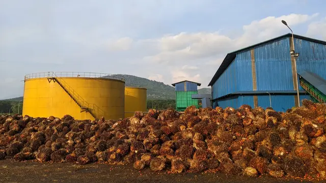 Era Baru Agribisnis: Cara PT BGMPA Modernisasi Operasi dan Dorong Transparansi Harga Sawit