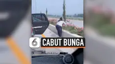 THUMBNAIL CABUT BUNGA