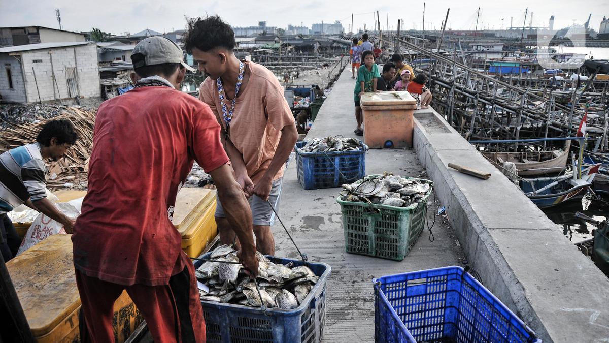 Kampung Nelayan Merah Putih Tawarkan 7.000 Lapangan Kerja Baru
