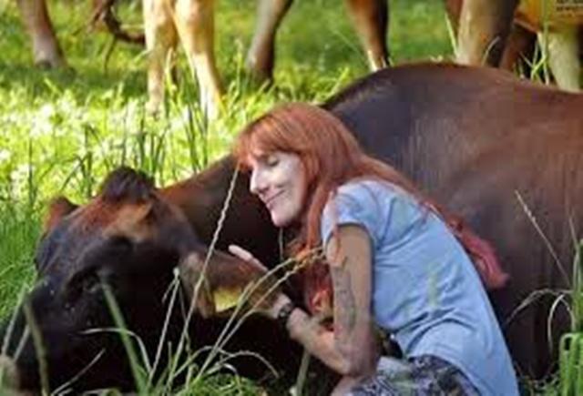 Terapi memeluk sapi untuk dapatkan pikiran yang lebih nyaman | Photo: Copyright 101accident.com