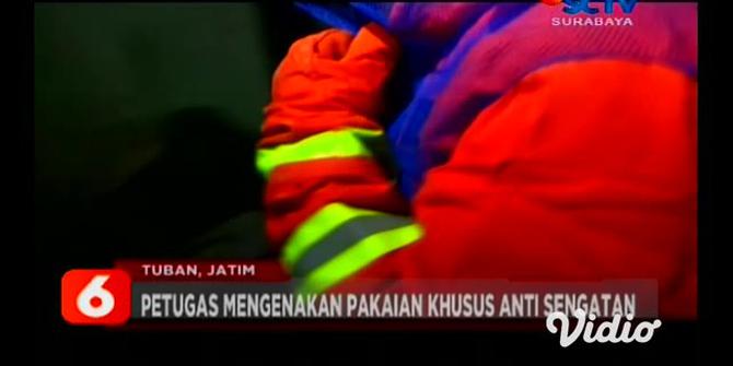 VIDEO: BPBD Tuban Musnahkan Sarang Tawon di Permukiman Warga