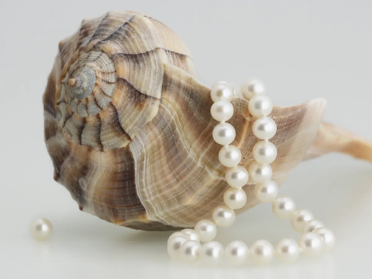 6 Benda di Rumah yang Bisa Jadi Mainan Seks - Health Liputan6.com