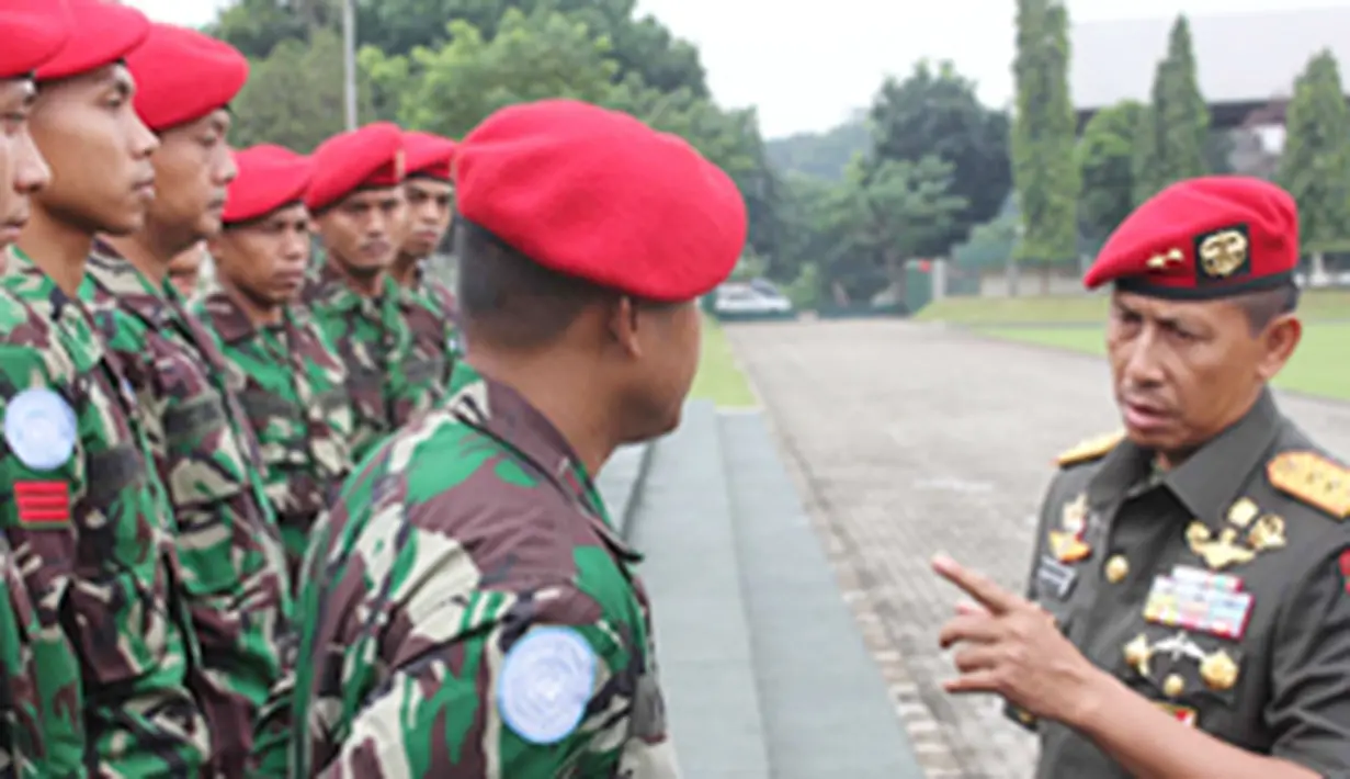 liputan6