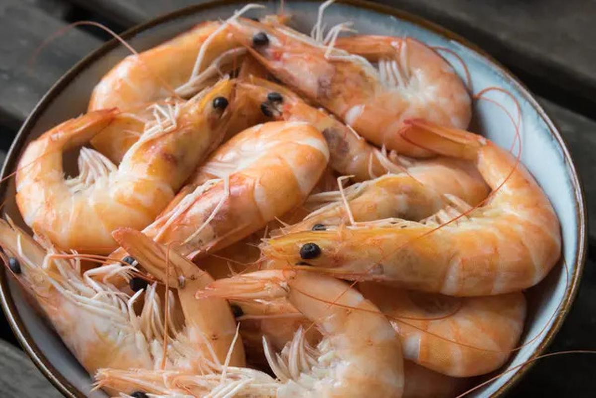 Rahasia Rebus Udang Tetap Cantik dan Lembut yang Jarang Diketahui