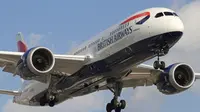 London Plane Crash: Everything We Know About the Incident
