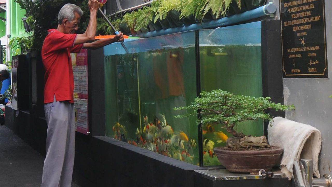 Seorang pria membersihkan kolam gizi yang dibangun warga&nbsp;RT008/RW04 Malaka Jaya, Duren Sawit, Jakarta Timur, Kamis (2/5/2024). Berlokasi di pinggiran&nbsp;Gang 8 Jalan Nusa Indah IV, sekelompok warga tersebut membangun kolam gizi sebagai upaya ketaha