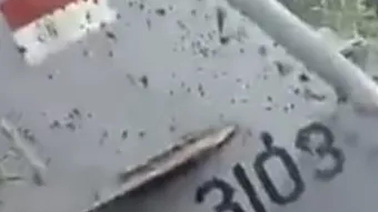 VIDEO: Detik-Detik Evakuasi 4 Perwira TNI AU  Gugur dalam Jatuhnya Pesawat Super Tucano