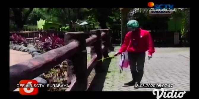 VIDEO: Penyemprotan Disinfektan di Kebun Binatang Surabaya