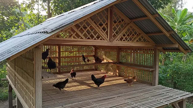 Model Kandang Ayam Atap Pelana Sederhana