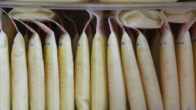 Ilustrasi Produksi Air Susu Ibu (ASI) (iStockphoto)