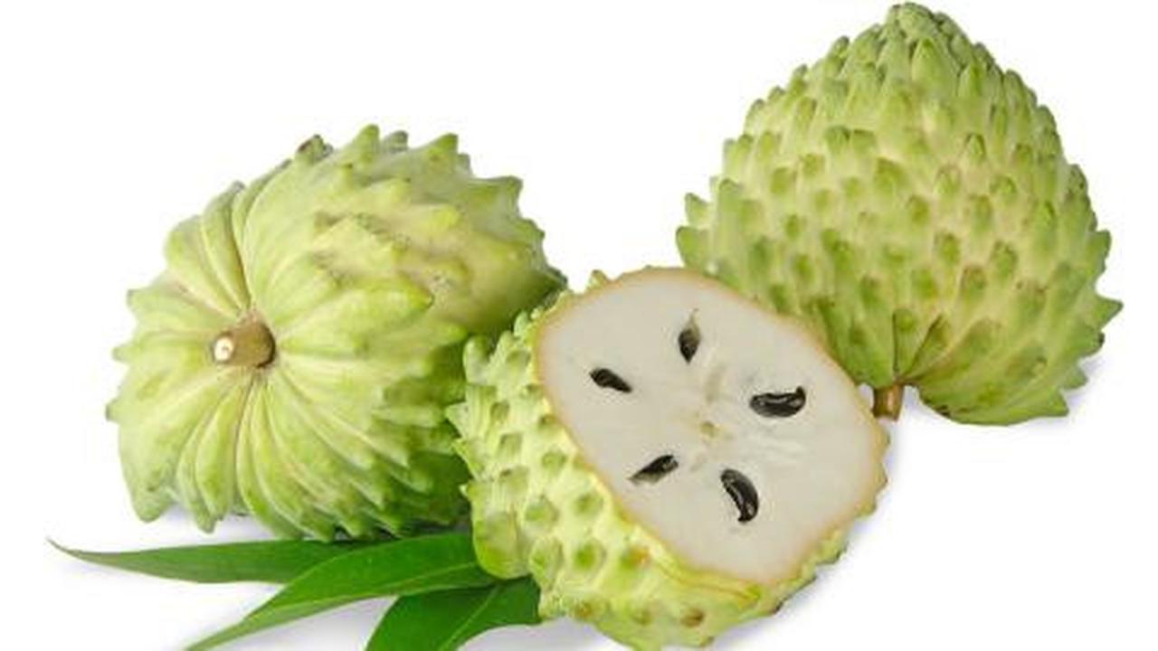 Buah sirsak, si pembunuh sel kanker