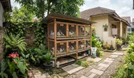 13 Hewan yang Bisa Dipelihara di Halaman Rumah dengan Lahan Terbatas, Mudah Dirawat