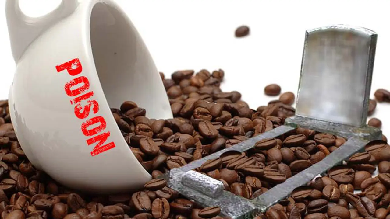 kopi