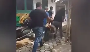 Dwi Bagus Sembunyi di Jombang, Digotong dan Teriak Saat Ditangkap