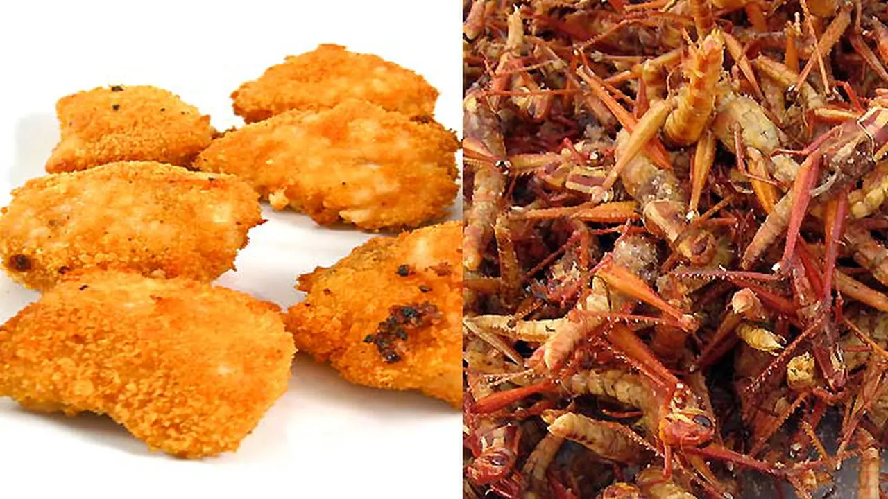 resep-nugget130420b.jpg