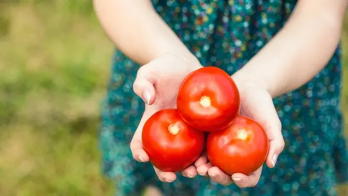 Foto: Copyright ThinkStockPhotos.com