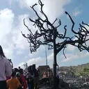 Dampak Kebakaran Desa Adat Sade, 89 Bangunan Hangus