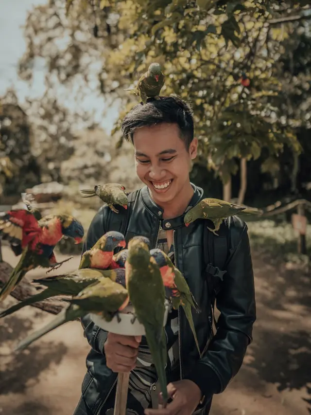 Traveling ke Australia