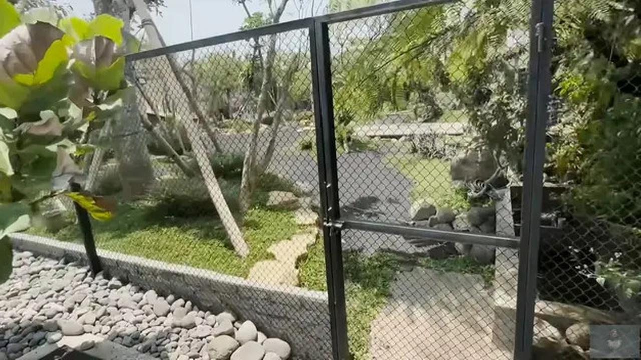 Model Kolam di Taman Rumah Soimah yang Luas Banget, Asri dengan Detail Artistik