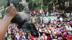 Warga berebut bebek saat perlombaan 17 Agustusan di kampung Warna-Warni, Katulampa, Bogor (17/8). Beragam loma diikuti warga dalam kegiatan Pesta Rakyat memeriahkan HUT Ke73 Republik Indonesia.(merdeka.com/ arie basuki)