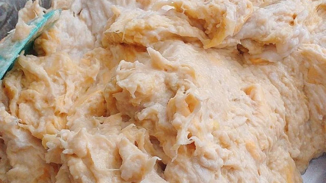 Makanan Fermentasi Asli Indonesia