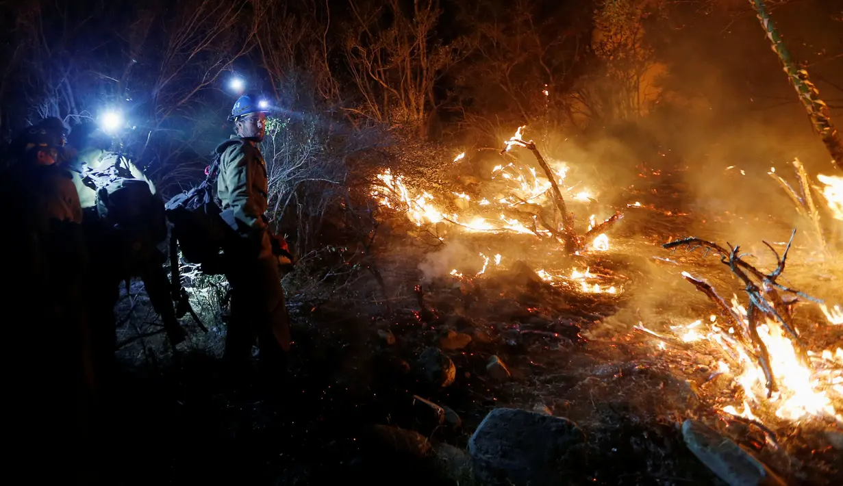 Sejumlah petugas pemadam kebakaran membangun jalur api saat kebakaran hutan di California, Amerika Serikat, (17/08). Pemerintah setempat sudah memberikan status keadaan darurat dan mengevakuasi lebih dari 82.000 warga. (REUTERS/Patrick T Fallon)