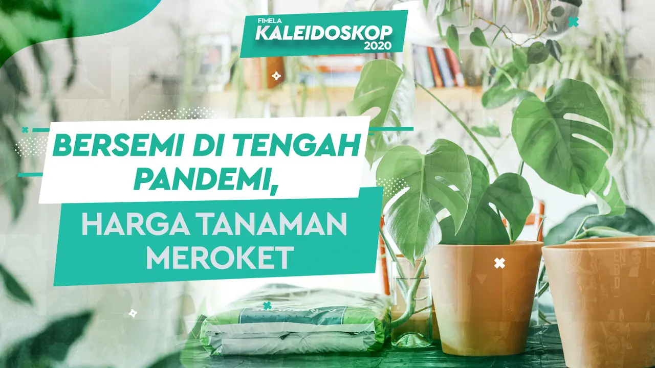 Kaleidoskop 2020 Tanaman Hias/dok. Unsplash/Brina Blum/Nurman Abdul Hakim