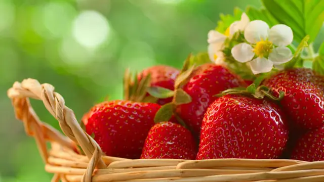 Courtesy ShutterStock.com