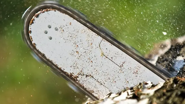 Foto: Copyright ListVerse.com