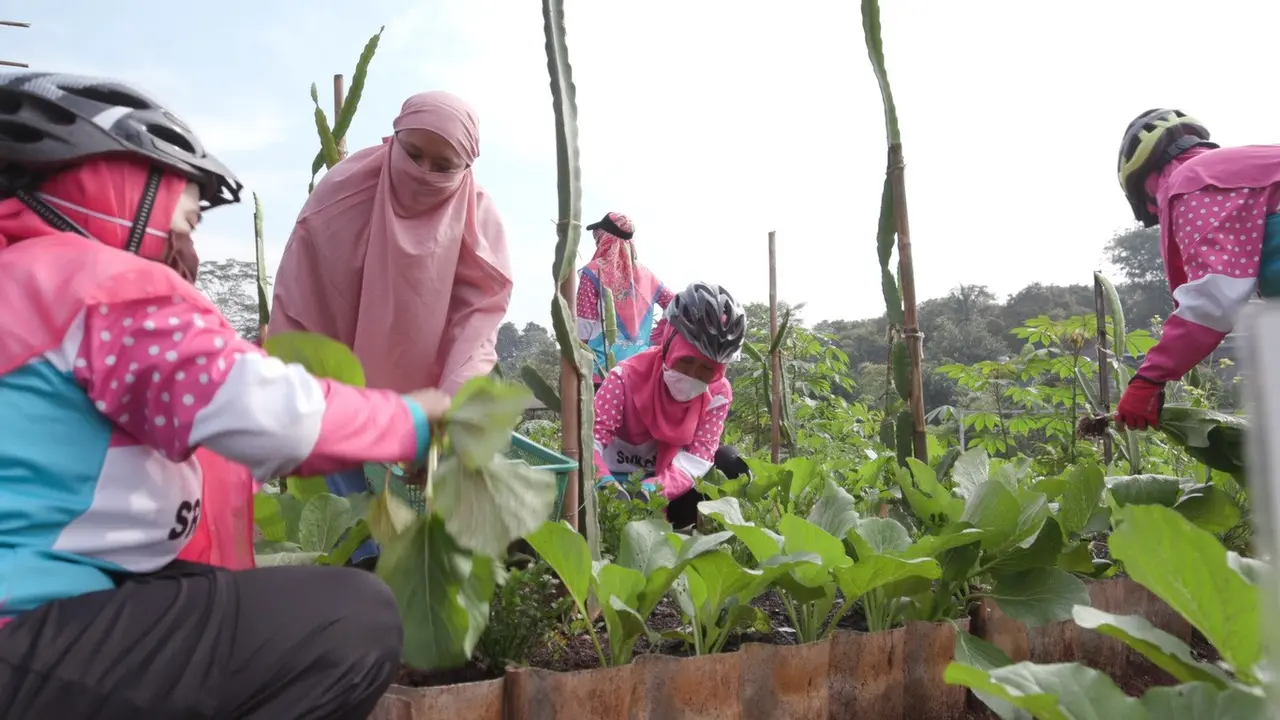 Warga Merawat Lahan Tani