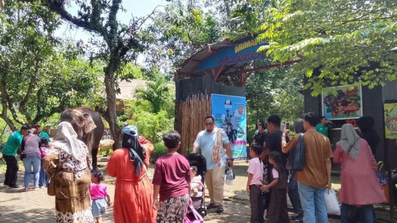 Semarang Zoo Sambut Tahun Baru 2026 dengan Zoonderland: Pesta Hiburan Meriah untuk Keluarga