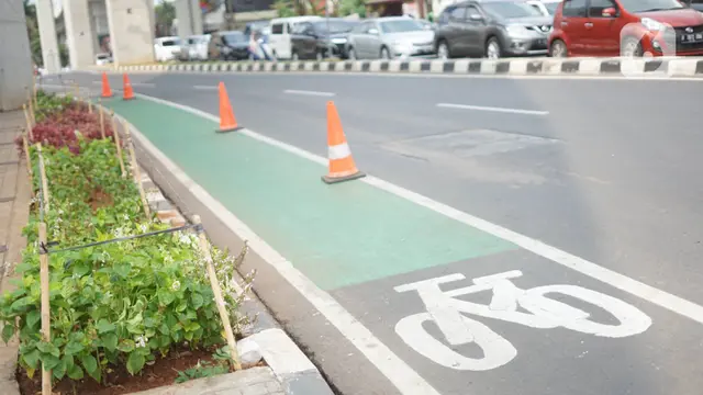 Awas, Masuk Jalur Sepeda Bisa Kena Tilang