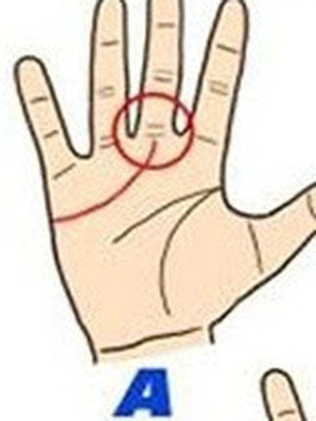 Ungkap Kepribadian Dilihat dari  4 Bentuk  Garis Tangan 