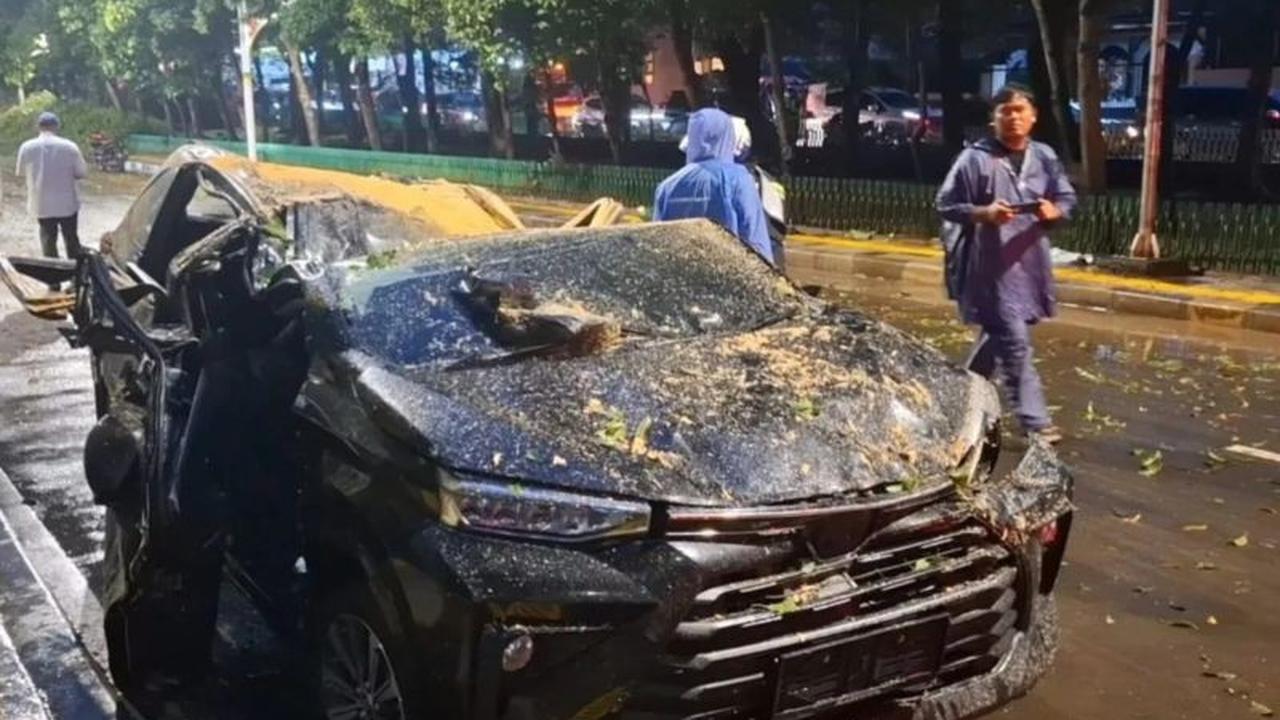 Fakta Unik: 62.161 Pohon Dipangkas! DKI Jakarta Antisipasi Pohon Tumbang Jelang Musim Hujan