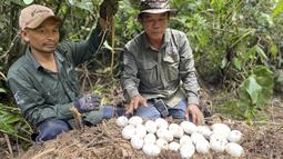 Temuan ini disebut sebagai penemuan terbesar dalam 20 tahun terakhir, yang memberikan harapan baru berlanjutnya spesies buaya Siam di alam liar.&nbsp;(Toy Ya/Fauna &amp; Flora via AP)
