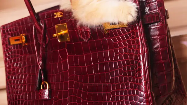 Jadi Anabul Sultan, Kucing Tasya Farasya Tampil Menggemaskan di Dalam Tas Hermes Rp1,9 Milyar dan Kalung Rp69 Jutaan