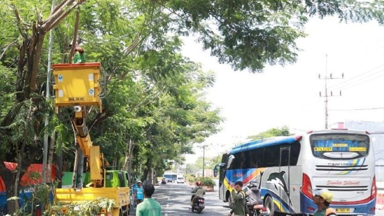Pemkot Madiun Pangkas Pohon Rawan Tumbang, Antisipasi Bencana Musim Hujan