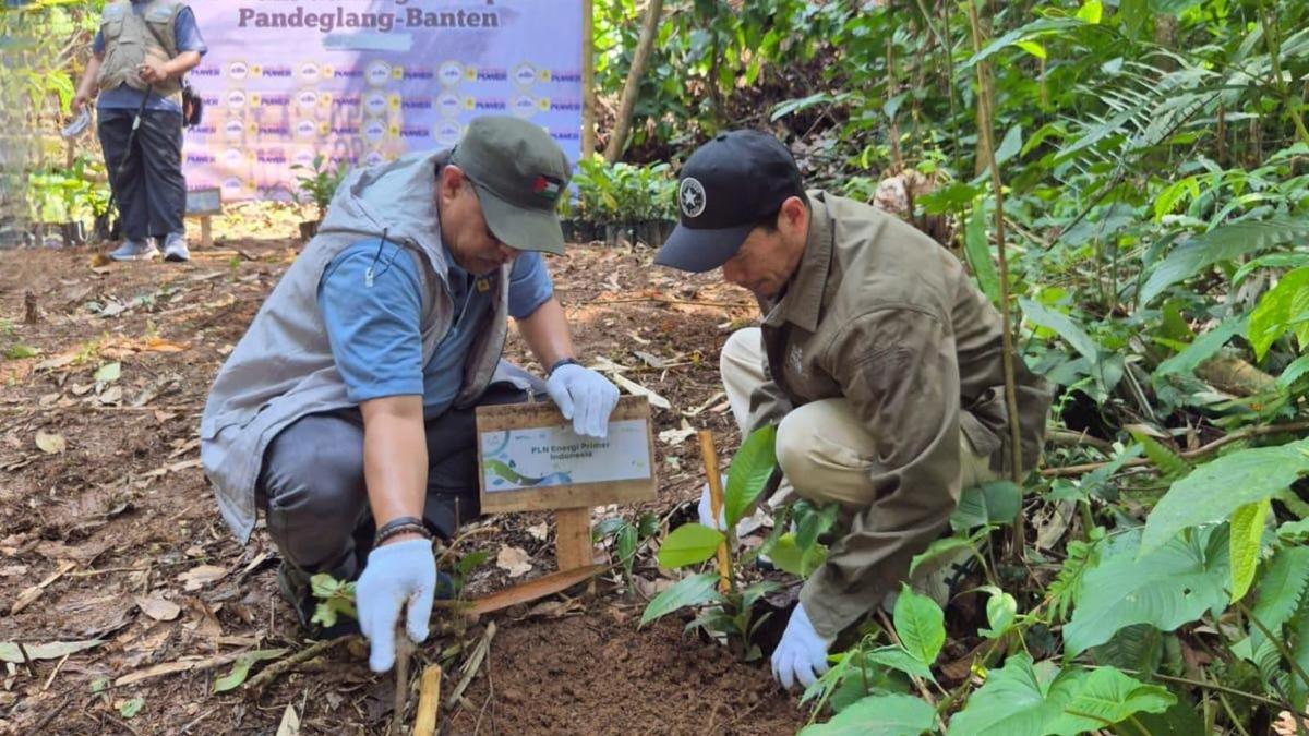 Peringati Hari Lingkungan Hidup, 500 Pohon Buah Ditanam di Gunung Aseupan