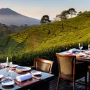 13 Tempat Makan View Bagus di Kuningan Jawa Barat 2026, dari Kaki Ciremai hingga City Light