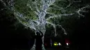 Seorang pengunjung memotret pohon penuh lampu yang bercahaya di Royal Botanic Gardens, Kew, London, Selasa (15/11/2022). Selain memamerkan jalur cahaya dengan satu juta lampu di jalur sepanjang 2,7 km, terdapat cahaya imersif, pohon lampu, terowongan cahaya, dan pertunjukkan cahaya air yang mengesankan. (AP Photo/Kirsty Wigglesworth)