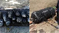 Kepala Lapan: Benda Jatuh di Sumenep Diduga Sisa Roket Falcon 9