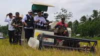 Panen Raya di Banyuasin, Wamentrans Serahkan Bantuan Rp100 Juta dan Janjikan Pembangunan Jalan