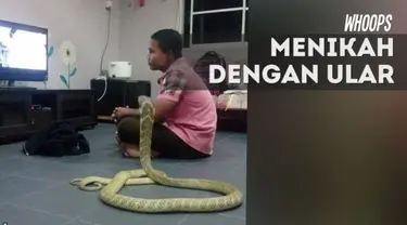 Walau terdengar tak masuk akal, namun siapa sangka pria ini telah hidup bersama selama dua tahun dengan ular tersebut.