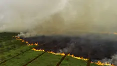 Foto udara yang diambil pada tanggal 2 Oktober 2023 ini menunjukkan kebakaran lahan gambut yang menjalar ke sebuah perkebunan di Ogan Ilir, Sumatera Selatan. (Al ZULKIFLI/AFP)
