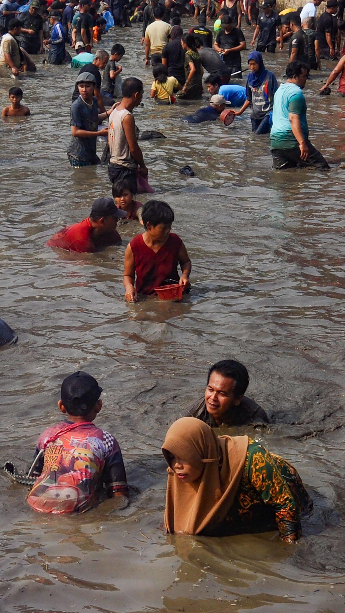 Sebanyak lima kwintal ikan mas disebar di empang yang berlokasi di Jalan Abdul Ghani Raya, Kelurahan Kalibaru, Kecamatan Cilodong, Kota Depok. Foto: Merdeka.com/Arie Basuki<br>
