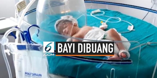 VIDEO: Anjing Liar Selamatkan Bayi Baru Lahir yang Dibuang