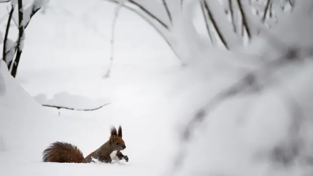 Salju di Rusia